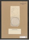 Campylodiscus ecclesianus Grev. (de-Toni-Nr.: Genus 57, Species 2487) Zeichnungen Sammlung Grunow Nr. 4996 (NHMW-BOT-W0373240)